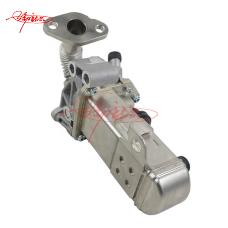 auto part oem 14735-5X00A 14735-5X00B 14735-5X00E 14735-5X00B 147355X00A 147355X00B COOLER VALVE FOR Nissan NP300 Navara 2.5dC